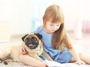 MORE WAGS, LESS WORRY: THREE OPTIONS FOR PET-FRIENDLY FLOORING